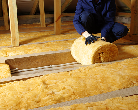 shutterstock_2167319033