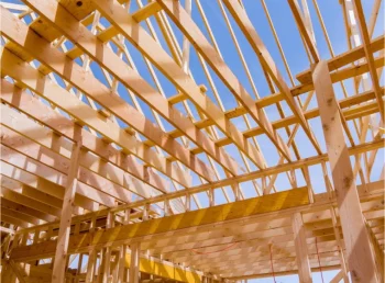 categorie_skeletbouw